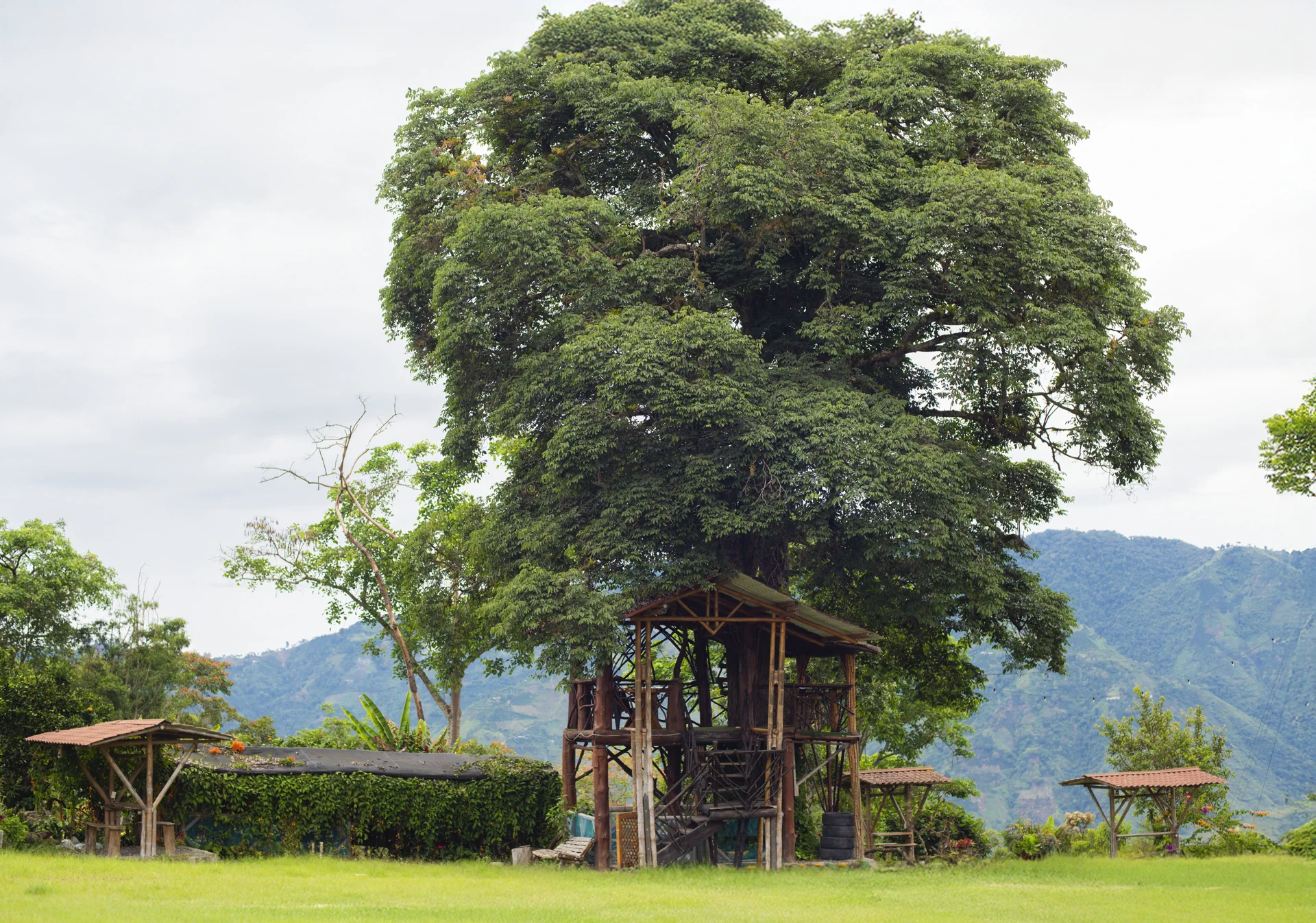 Mirador de madera bajo un árbol, con el paisaje montañoso de Saladoblanco al fondo