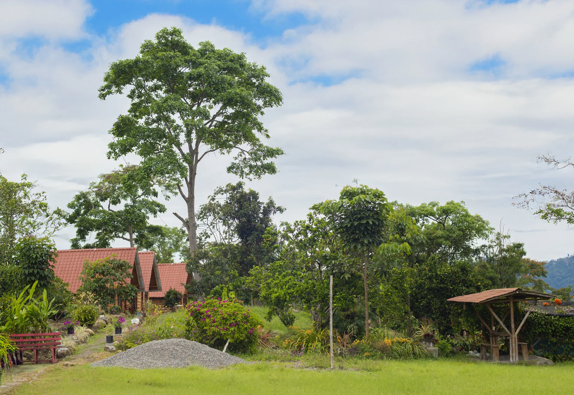 Jardines y construcciones de la finca rodeados de vegetación
