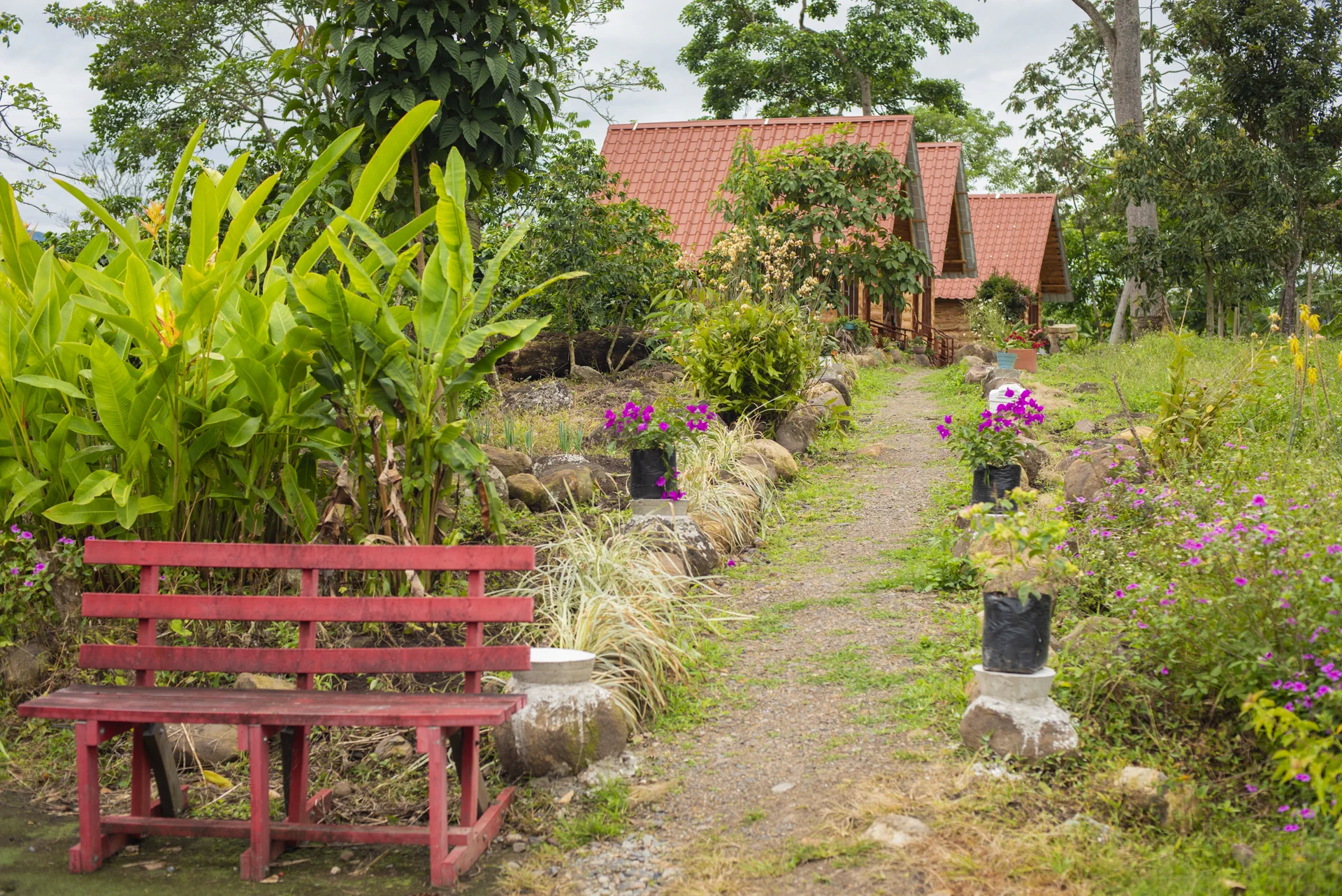 Sendero de jardín con bancas rojas y cabañas al fondo
