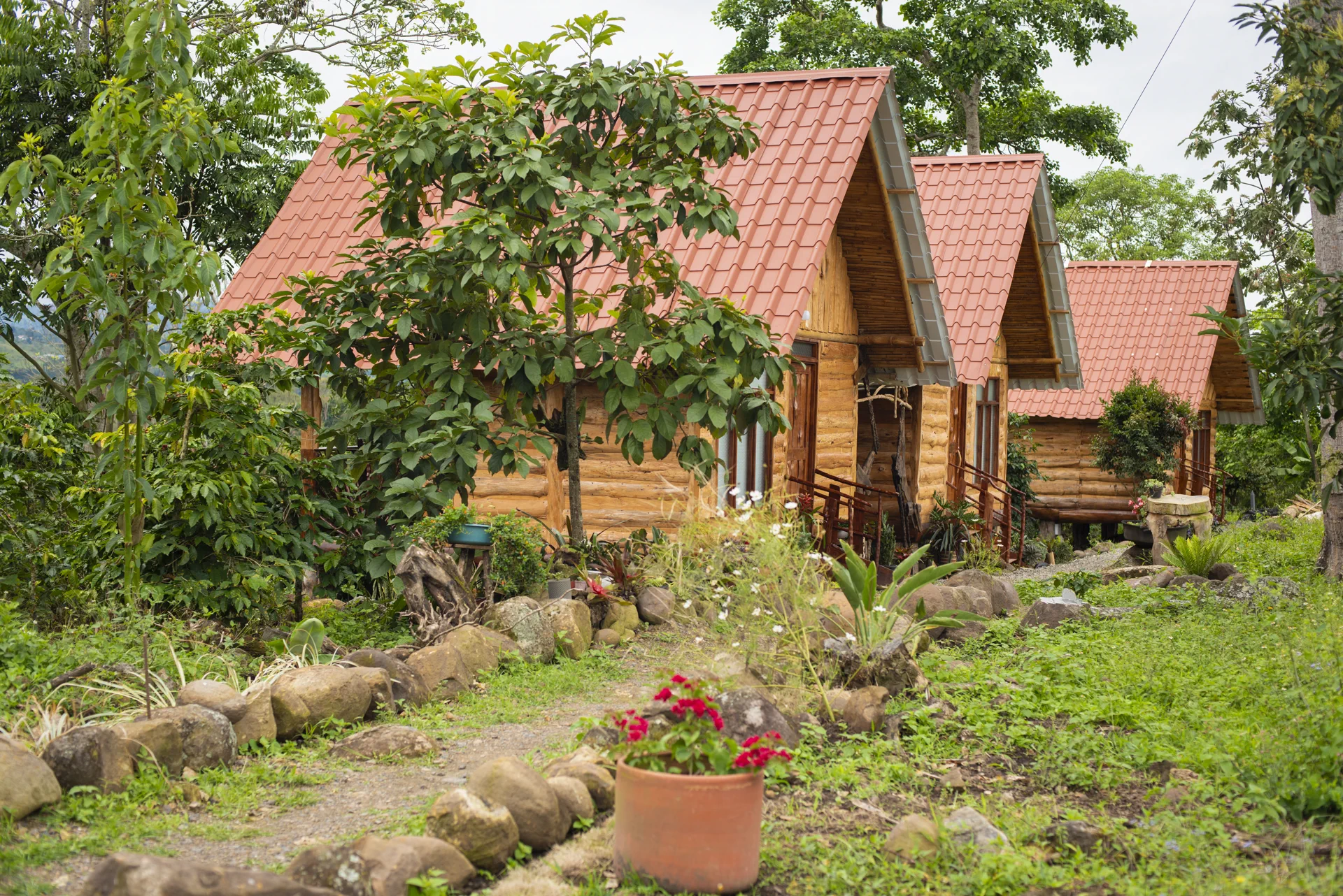 Cabañas de madera de la finca entre jardines y vegetación