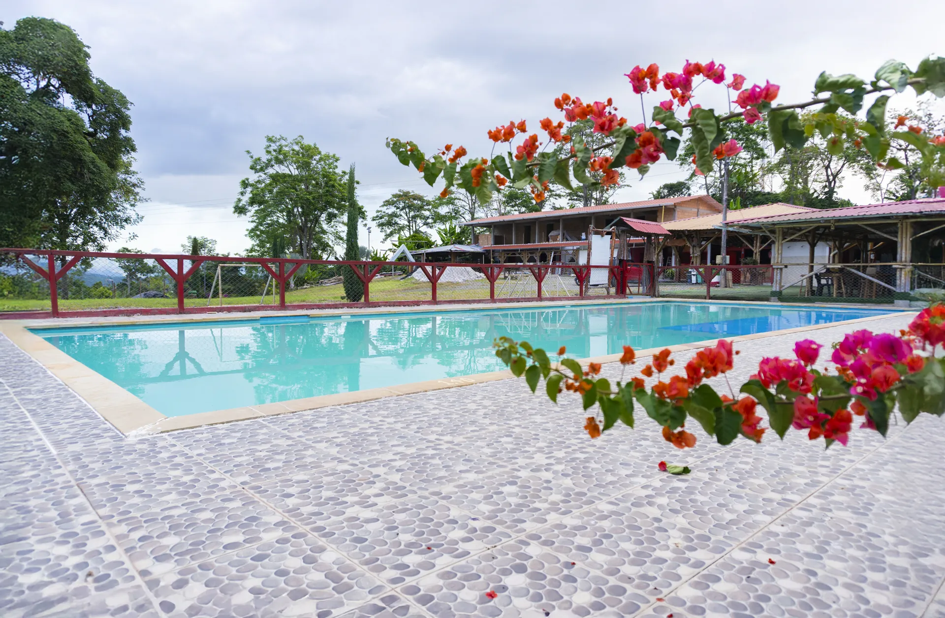 Piscina al aire libre rodeada de jardines y flores